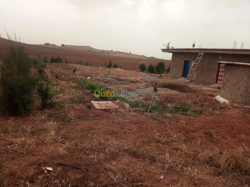 Vente Terrain Chlef El karimia