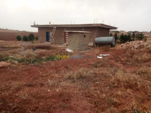 Vente Terrain Chlef El karimia