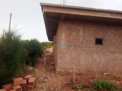 Vente Terrain Chlef El karimia