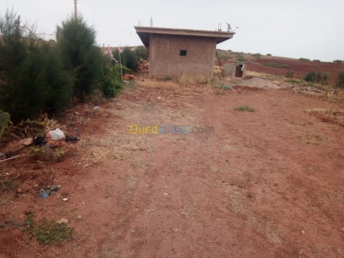 Vente Terrain Chlef El karimia
