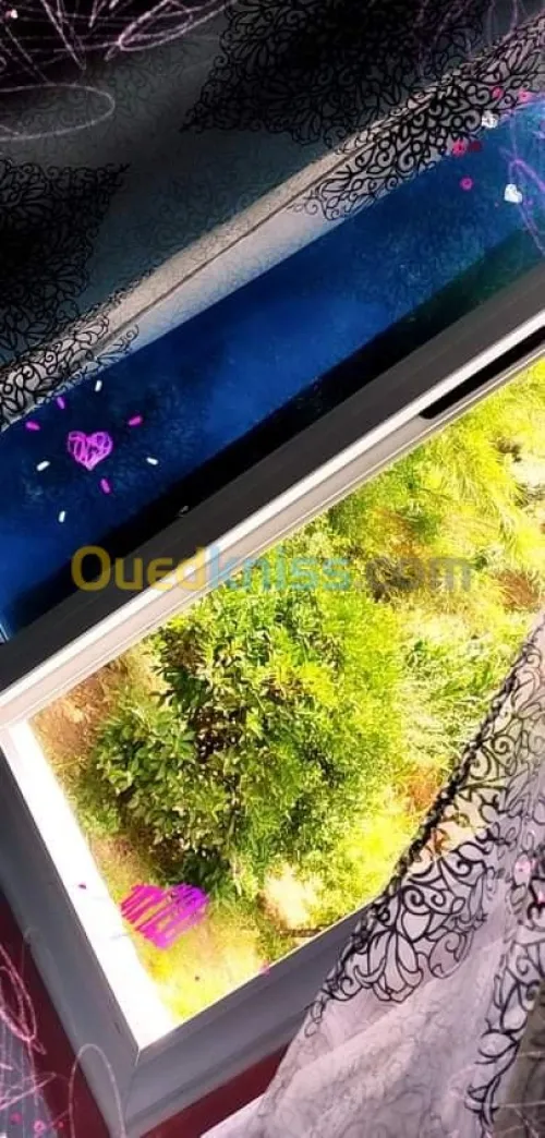 Location Studio Skikda Skikda