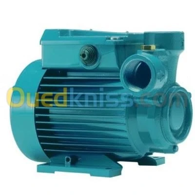 pompe eau calpeda et cerveau calpeda