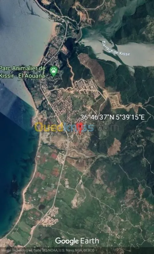 Vente Studio Jijel El aouana