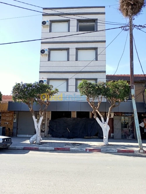 Location Niveau De Villa F2 Blida Bouinan