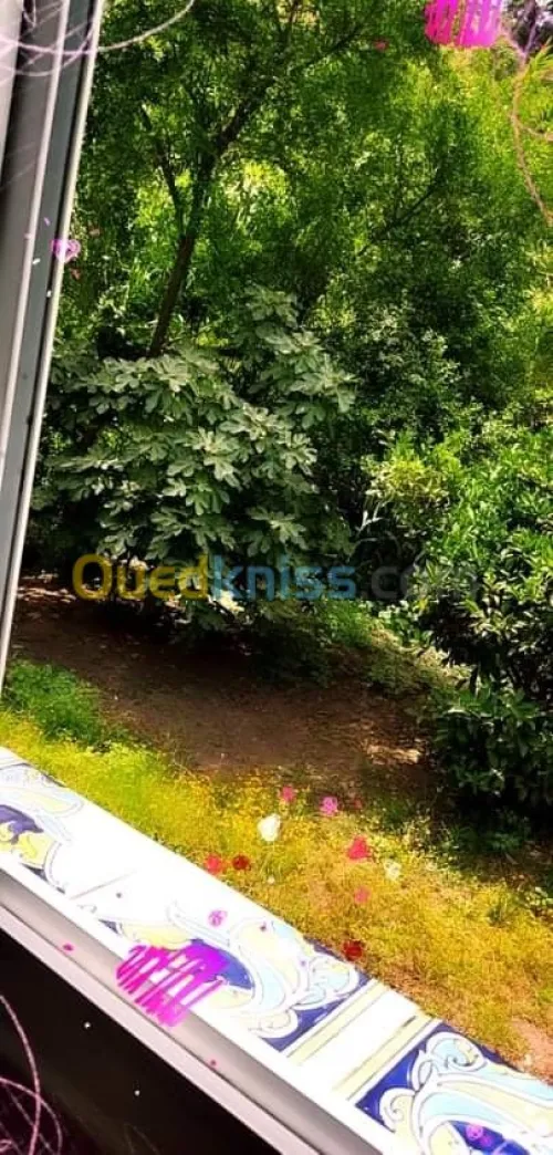 Location vacances Studio Skikda Skikda