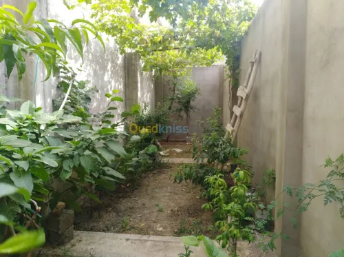 Vente Villa Skikda Sidi mezghiche