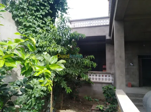 Vente Villa Skikda Sidi mezghiche