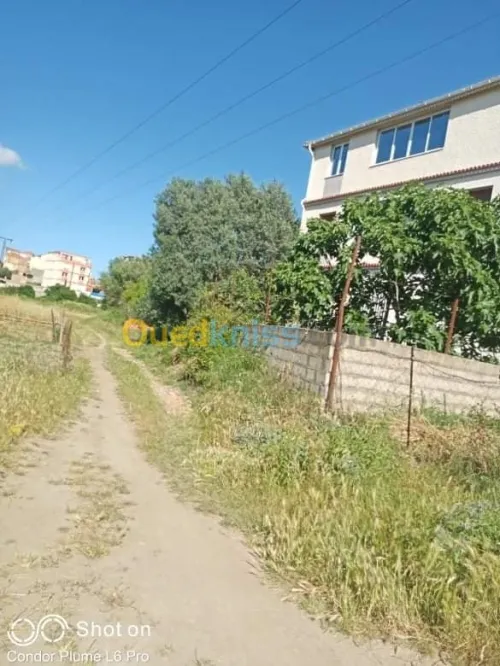 Vente Terrain Bejaia Tala hamzadaira