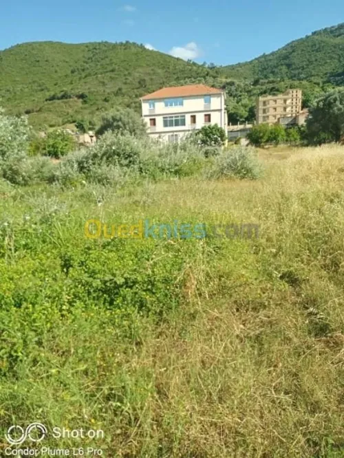 Vente Terrain Bejaia Tala hamzadaira