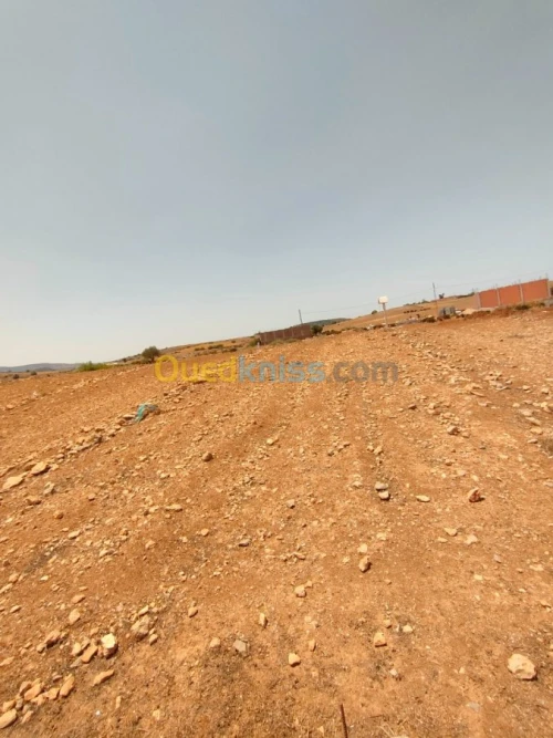 Vente Terrain Tlemcen Fellaoucene