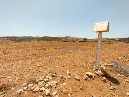 Vente Terrain Tlemcen Fellaoucene