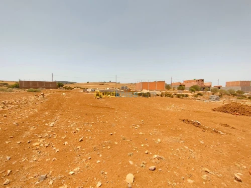 Vente Terrain Tlemcen Fellaoucene