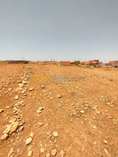 Vente Terrain Tlemcen Fellaoucene