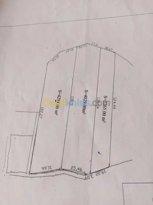 Vente Terrain Boumerdes Dellys