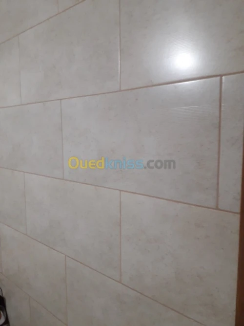   maçonrie plaque ou platre pvc deco..