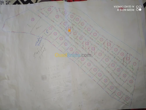 Vente Terrain Blida Ouled yaich