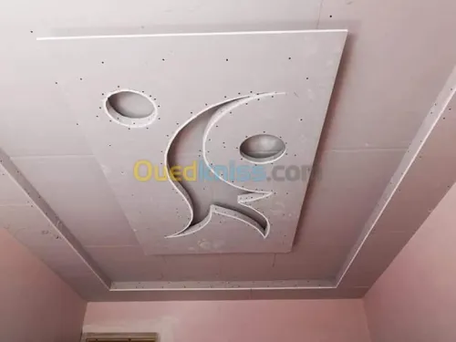 Plaque ou platre pvc decoration