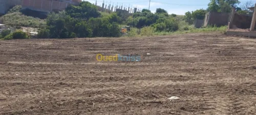 Vente Terrain Boumerdes Boudouaou
