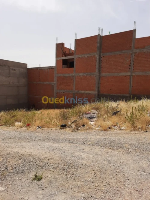 Vente Terrain Setif El ouricia