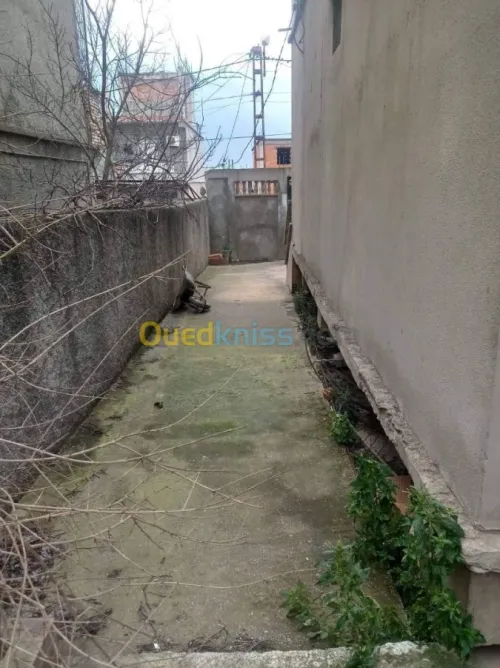 Vente Villa El taref El kala