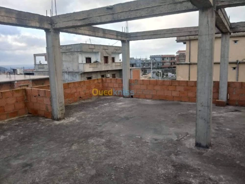 Vente Villa El taref El kala