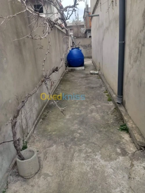 Vente Villa El taref El kala