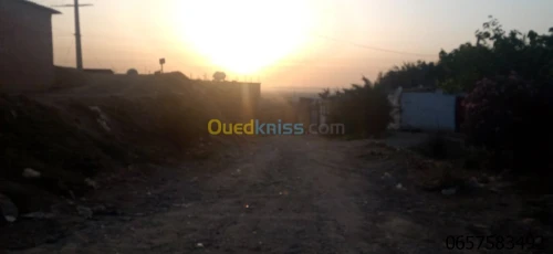 Vente Terrain Blida Larbaa