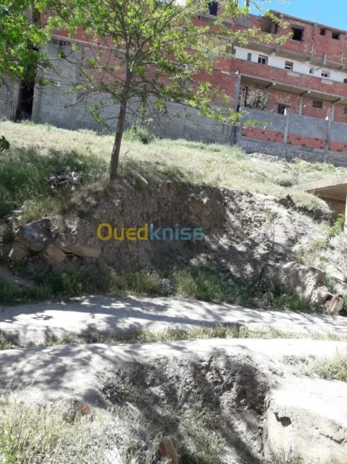 Vente Terrain Bouira Sour el ghouzlane