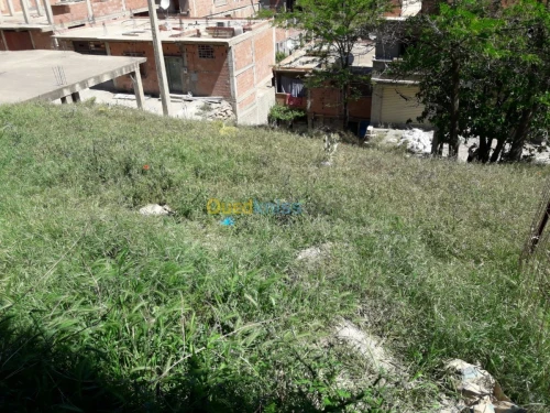Vente Terrain Bouira Sour el ghouzlane