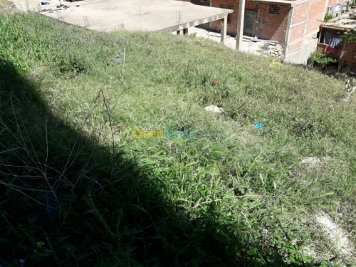 Vente Terrain Bouira Sour el ghouzlane