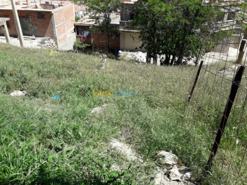 Vente Terrain Bouira Sour el ghouzlane