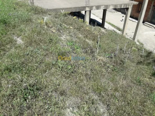 Vente Terrain Bouira Sour el ghouzlane