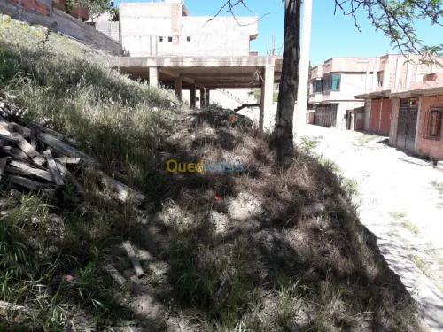Vente Terrain Bouira Sour el ghouzlane