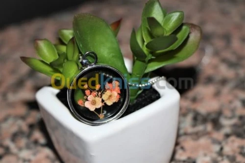 Colliers Fleurs Saisons (Séchés )