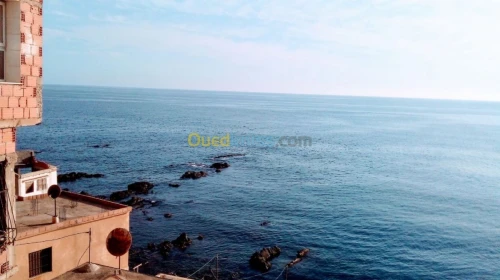 Echange Studio Tipaza Tipaza