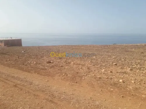 Vente Terrain Tlemcen Souk tlata