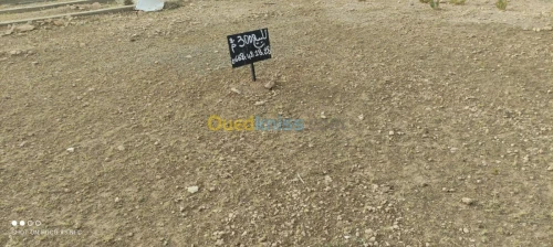 Vente Terrain Tebessa Bir el mokadem