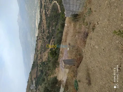 Vente Terrain Bejaia Seddouk