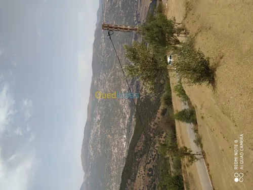 Vente Terrain Bejaia Seddouk