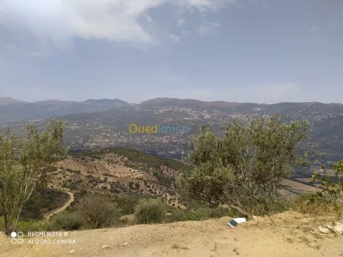 Vente Terrain Bejaia Seddouk
