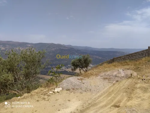 Vente Terrain Bejaia Seddouk
