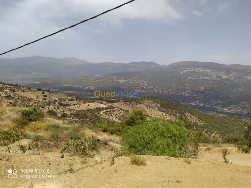 Vente Terrain Bejaia Seddouk