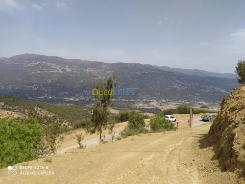 Vente Terrain Bejaia Seddouk