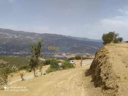 Vente Terrain Bejaia Seddouk
