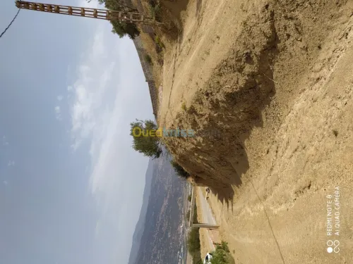 Vente Terrain Bejaia Seddouk