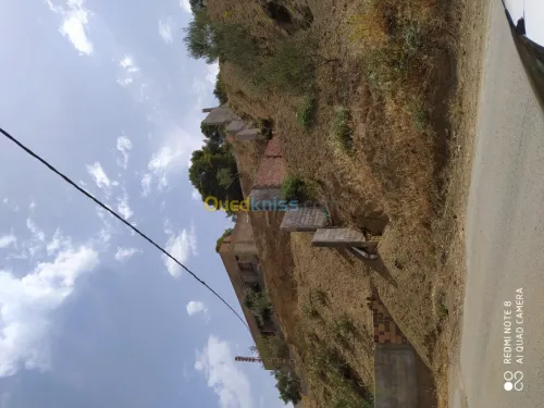Vente Terrain Bejaia Seddouk