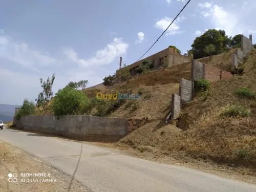 Vente Terrain Bejaia Seddouk