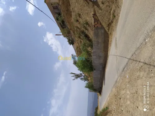 Vente Terrain Bejaia Seddouk