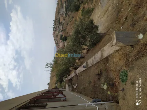 Vente Terrain Bejaia Seddouk