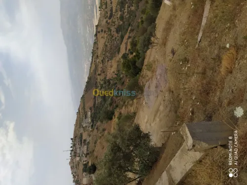 Vente Terrain Bejaia Seddouk